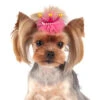 Show Tech Royal Deluxe Bows With Clip 6 Pcs Bows -Pawfect Care Store 65ste615 22x gl6q8xmrs9qggo51
