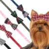 Show Tech Canine Costume Dickie Bows Retro 10-Pack Assorted -Pawfect Care Store 65ste684 4 9ytdznm9fj7xjbdl
