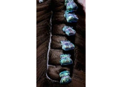 Show Tech Plastic Wraps 100 Pcs Hologram Blue 15 X 40 Cm -Pawfect Care Store 65ste688 klant uks5ah0joslujywl