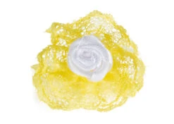 Show Tech Royal Lace Bows 12 Pcs -Pawfect Care Store 65ste692 4 zmc0y8kgxkelul7c