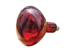 Philips Infra-Red Lamp 150 W Heat Lamp