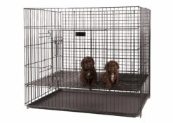 Show Tech Puppy Play Pen Medium 92x92x81cm -Pawfect Care Store 67ste006 5 yrk54jqjsvto0pgi
