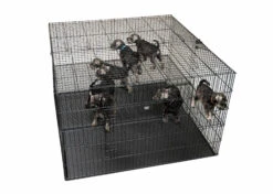 Show Tech Puppy Play Pen Large 122x122x81cm -Pawfect Care Store 67ste007 1 fb1enigudxzxdtbt