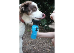 Highwave Auto Dog Mug Blue Large Drinking Bottle -Pawfect Care Store 68hwa003 42x uqescqiv9un5lc5l