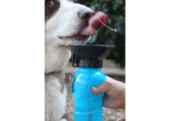 Highwave Auto Dog Mug Blue Large Drinking Bottle -Pawfect Care Store 68hwa003 52x qegmavdcllfcrkba