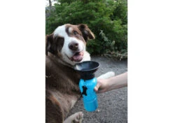 Highwave Auto Dog Mug Blue Large Drinking Bottle -Pawfect Care Store 68hwa003 62x mpd8m6v1k9orz3pj