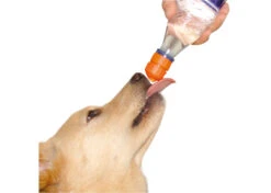 Pet Top Portable Drinking Device Bottle Top -Pawfect Care Store 68pto001 22x yjqh3tyrjdj3yhjr