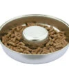 Show Tech Puppy Feeding Dish 37cm -Pawfect Care Store 68ste072 12x bt20mwl6dtyuyckq