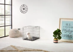 Savic Dog Residence Cage 1 Door Size 1 - 61 X 46 X 53 Cm -Pawfect Care Store 69sav039 1 bdj1wpmvmnytmdcy