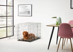 Savic Dog Residence Cage 2 Portes Size 3 - 91 X 61 X 71 Cm -Pawfect Care Store 69sav041 1 6nfybrkwzptx3huc