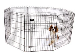 Show Tech X Pen Size 1 - 8x61cmBx61cmH Pen For Puppies