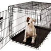 Show Tech American Cage With Plastic Tray Black Size 0 - 47 X 32 X 36 Cm -Pawfect Care Store 69ste076 12x vbptwiiafmbnld6n