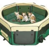 Show Tech Pet Play Park Green - 8x37cmBc37cmH Pen For Puppies -Pawfect Care Store 69ste112 12x qrvgjtowzsxa04s7