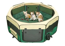 Show Tech Pet Play Park Green - 8x37cmBc37cmH Pen For Puppies