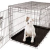 Show Tech Replacement Tray - American Cage Size 4 Cage Accessories -Pawfect Care Store 69ste137 12x iptilxxjyr26ccnr