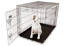 Show Tech Replacement Tray - American Cage Size 5 Cage Accessories