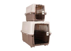 Show Tech Globetrotter Animal Transport Box S 50 X 34 X H 32 Cm 9 Show Tech Globetrotter Animal Transport Box S 50 X 34 X H 32 Cm -Pawfect Care Store 69ste139 4 fvvaicn85dbazcrc
