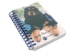 Transgroom Agenda 2024