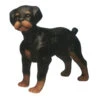 Mannequin - Rottweiler -Pawfect Care Store 83fer003 12x 9xsrwp4wjzqu15yn