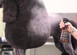 Show Tech Exclusive Salon Micro Mist Bottle Brown 300ml -Pawfect Care Store 87ste016 2 o9dtlsxx5hezof6w