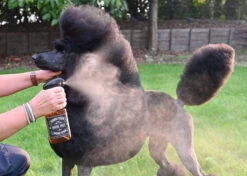 Show Tech Exclusive Salon Micro Mist Bottle Green 150ml -Pawfect Care Store 87ste017 2 l9ol9maoriwrrxp2