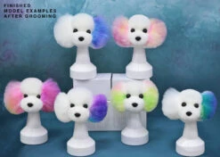 Starzclub White Coat For Model Dog Head -Pawfect Care Store 89sta001 1 qg7iaodflqhqlhbh