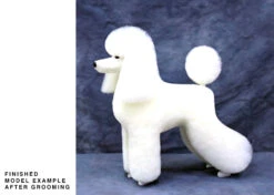 Starzclub White Poodle Coat For Model Dog (full Coat) -Pawfect Care Store 89sta011 1 78pxklv8zc4oosxp