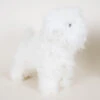Bichon White Coat For Model Dog (model Dog Not Included) -Pawfect Care Store 89sta013 1 indx3i8cooi8kzmh