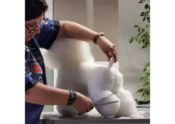 Bichon White Coat For Model Dog (model Dog Not Included) -Pawfect Care Store 89sta013 4 jpwrnq3rizgy8vwg