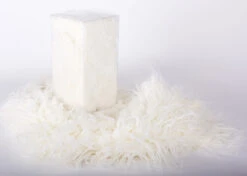 Starzclub Poodle Asian Style White Coat For Educational Dog (Model Dog Not Included) 6 Starzclub Poodle Asian Style White Coat For Educational Dog (Model Dog Not Included) -Pawfect Care Store 89sta015 1 a3eqveispuhe9dmt