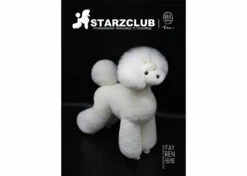 Starzclub Poodle Asian Style White Coat For Educational Dog (Model Dog Not Included) 7 Starzclub Poodle Asian Style White Coat For Educational Dog (Model Dog Not Included) -Pawfect Care Store 89sta015 2 aex0g5e1foqgkg9i