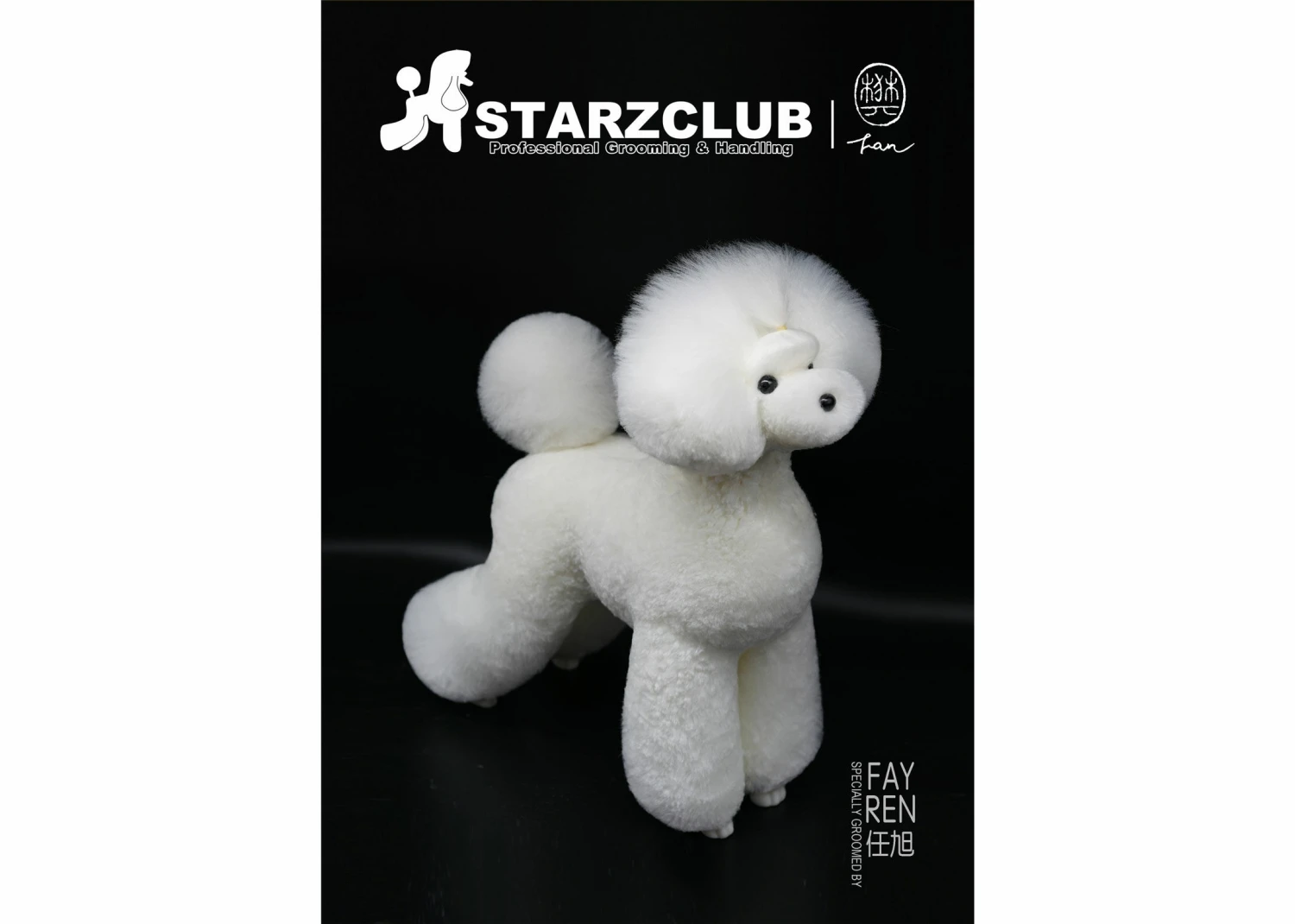 Starzclub Poodle Asian Style White Coat For Educational Dog (Model Dog Not Included) 5 Starzclub Poodle Asian Style White Coat For Educational Dog (Model Dog Not Included) - Image 3