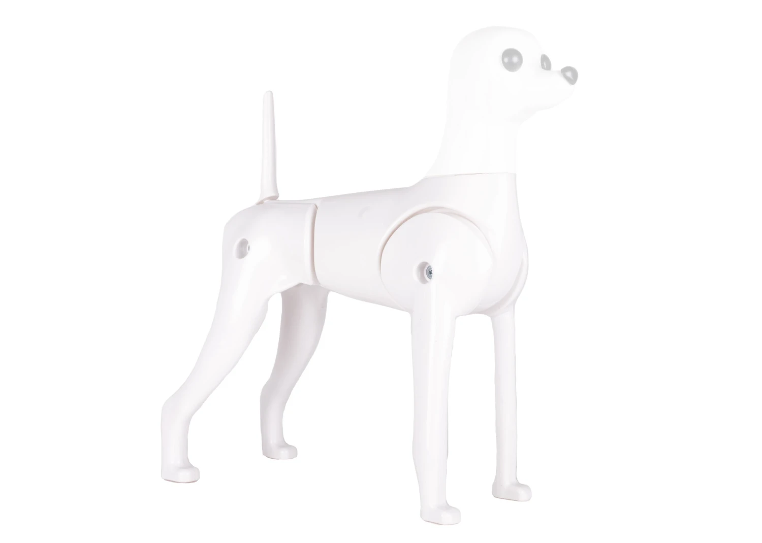 Starzclub Model Dog Body Educational Dog 5 Starzclub Model Dog Body Educational Dog - Image 3