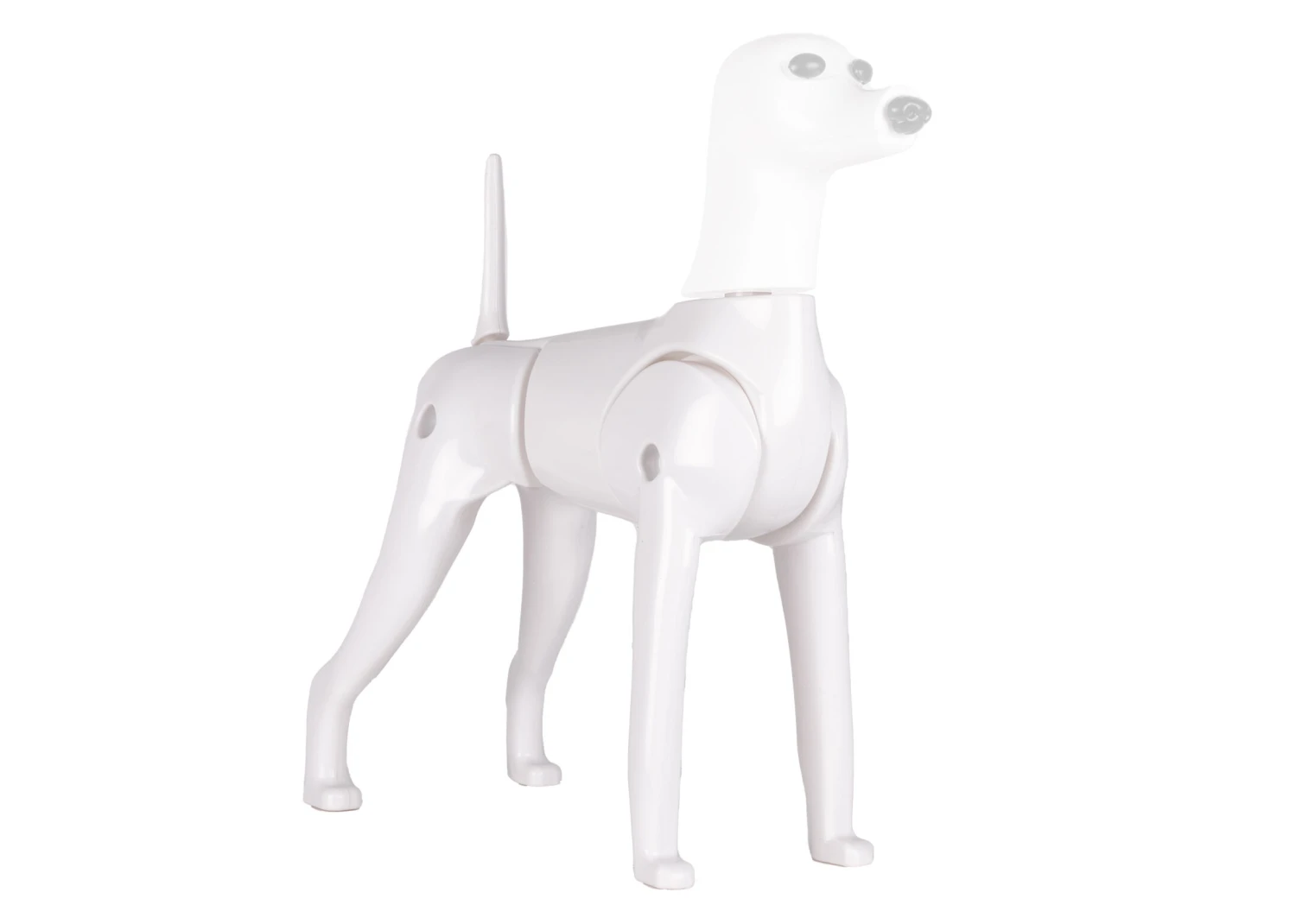 Starzclub Model Dog Body Educational Dog 7 Starzclub Model Dog Body Educational Dog - Image 5