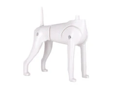 Starzclub Model Dog Body Educational Dog