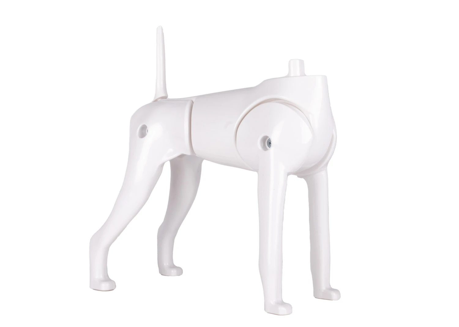 Starzclub Model Dog Body Educational Dog 3 Starzclub Model Dog Body Educational Dog