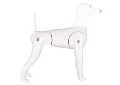 Starzclub Model Dog Body Educational Dog 15 Starzclub Model Dog Body Educational Dog -Pawfect Care Store 89sta030 5 2 alvw3cow8b32ef2e