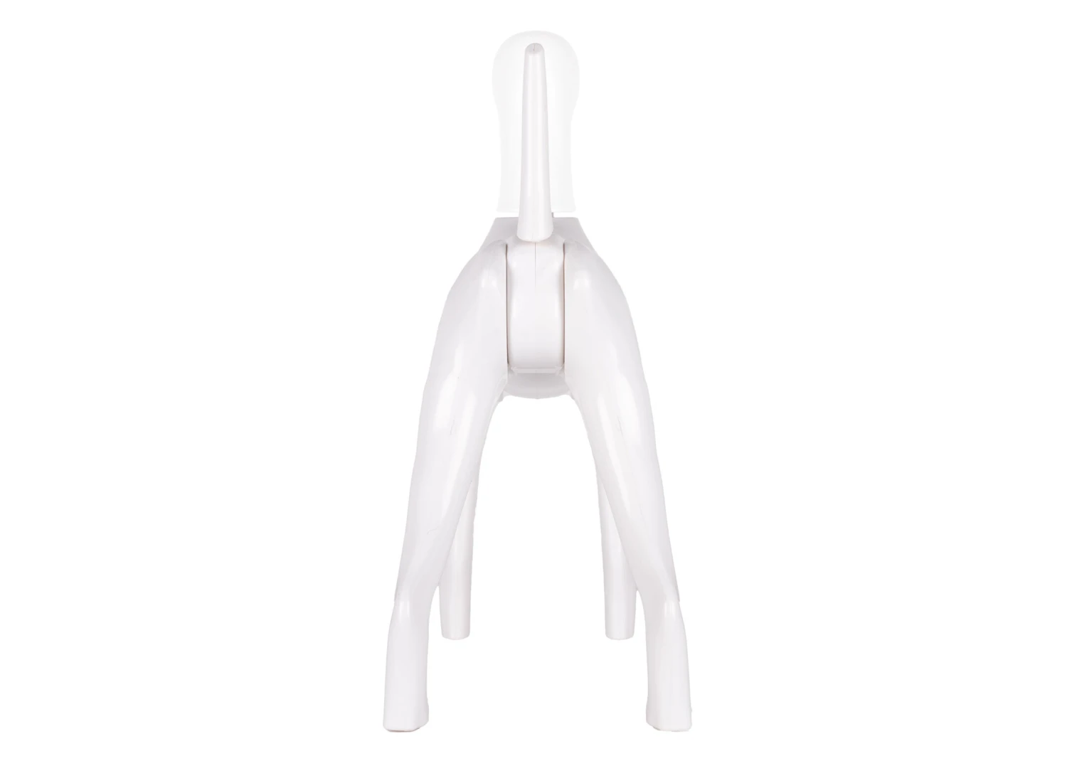 Starzclub Model Dog Body Educational Dog 9 Starzclub Model Dog Body Educational Dog - Image 7