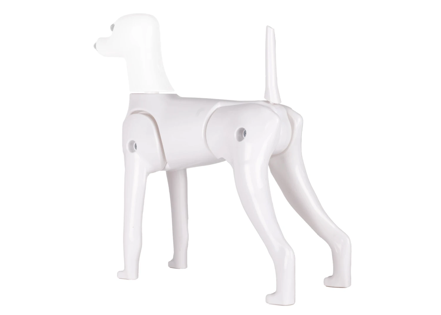 Starzclub Model Dog Body Educational Dog 10 Starzclub Model Dog Body Educational Dog - Image 8