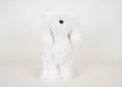 Starzclub White Poodle Show Clip Coat For Model Dog (full Coat) -Pawfect Care Store 89sta035 3 pcsifx1mh4ya1idw