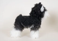 Starzclub Miniature Schnauzer Coat For Model Dog (full Coat) -Pawfect Care Store 89sta036 2 xdcglrwvzqwwiqle