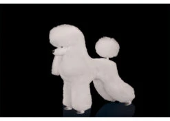 Show Tech Model Dog White Educational Dog -Pawfect Care Store 89ste001 32x 4wamevipmny3g852