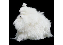 Show Tech Model Dog White Educational Dog -Pawfect Care Store 89ste001 42x dkovnkigox0mdedu