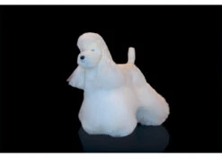 Show Tech Model Dog White Educational Dog -Pawfect Care Store 89ste001 52x nl04fvhephab9x19