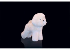 Show Tech Model Dog White Educational Dog -Pawfect Care Store 89ste001 72x vplicytj6no7xuwf