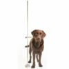 Show Tech Professional Adjustable Dog Measure Stick 2 Show Tech Professional Adjustable Dog Measure Stick -Pawfect Care Store 91ste021 dhq3lewsegjzv0ob