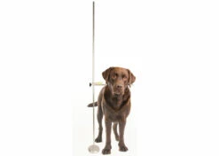Show Tech Professional Adjustable Dog Measure Stick
