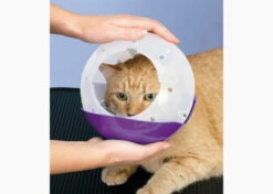 Smart Practice Air Muzzle II Restraint Dog/Cat Muzzle