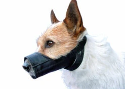 Show Tech Muzzle Size 1 (12cm) Muzzle
