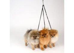 Show Tech Multi Nylon Show Lead 3mm Black For 3 Dogs (max 93cm) Show Collar -Pawfect Care Store 93ste167 jaqnmypewi5tftmg